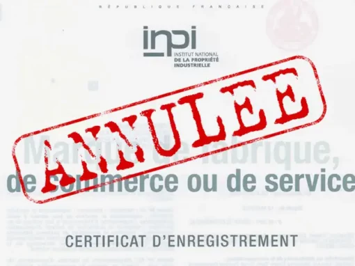Trademark Invalidation at INPI: 3 Key Insights from 700 Decisions