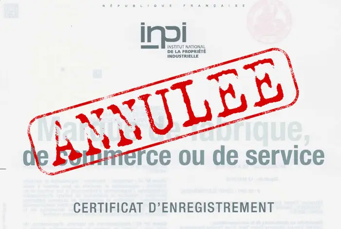 Trademark Invalidation at INPI: 3 Key Insights from 700 Decisions
